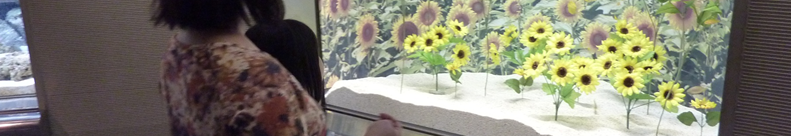 FXに興味がある方へ